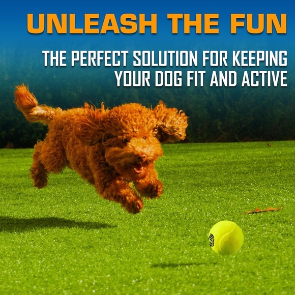 Toys Nerf Dog Ball Launcher - Blue and Orange - Picture 5 of 12